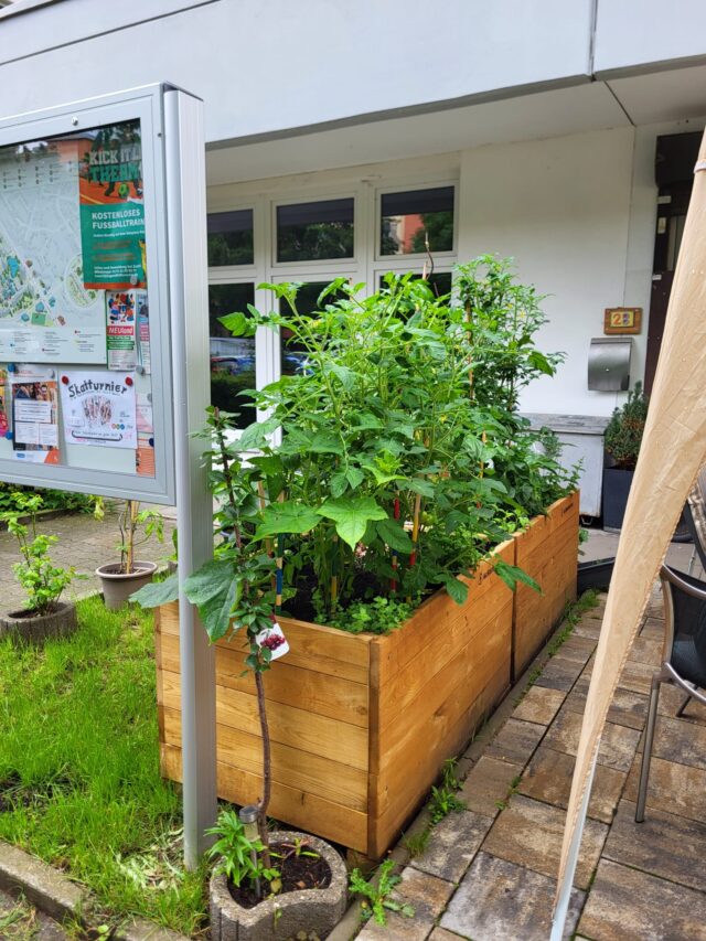 Ein hölzernes Hochbeet mit üppigen grünen Pflanzen steht auf einer Terrasse neben einem Gebäude mit weißen Wänden und Fenstern. Ein schwarzes Brett und eine kleine Rasenfläche sind in der Nähe zu sehen.